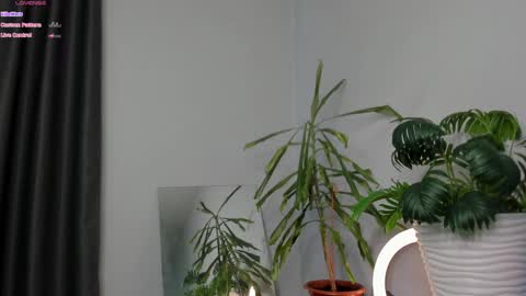 Snapshot of manita_misti chatting on May 2026 09:25:02 AM Manita online show from May 2026 09:25:02 AM