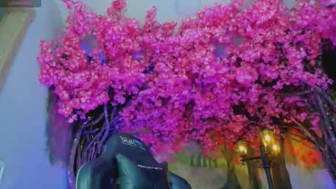 Mara Hanson online show from January 2026 07:05:02 PM