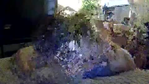 Snapshot of marc_313 chatting on May 2026 10:42:01 AM Marc online show from May 2026 10:42:01 AM