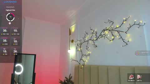 mari_nett online show from December 2024 11:53:02 PM