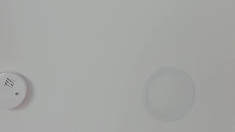 Maria Pettit online show from February 2026 11:17:01 AM