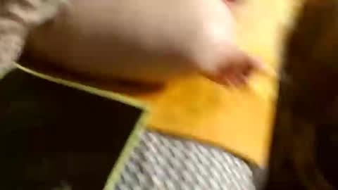 Snapshot of marinalady chatting on January 2025 10:24:01 PM marinalady online show from January 2025 10:24:01 PM