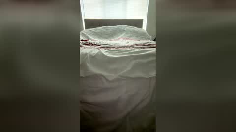 mariofernandez1995 online show from April 2026 08:14:02 PM