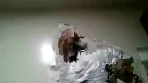 mark7062012 online show from June 2026 11:44:01 PM