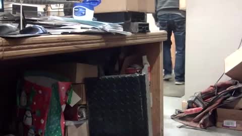 markpanier online show from January 2025 01:06:02 AM