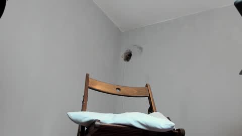 MARK online show from October 2025 12:06:01 PM