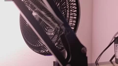 marla online show from March 2026 11:27:01 AM