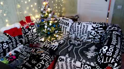 Snapshot of marlenehudsonah chatting on December 2024 08:16:02 PM MarleneHudsonAh online show from December 2024 08:16:02 PM