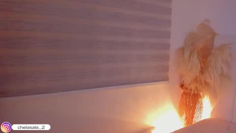 Mar online show from February 2026 06:26:01 AM