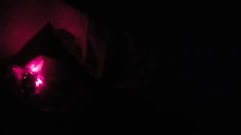 Snapshot of martamoontrans chatting on October 2025 01:25:01 AM martamoontrans online show from October 2025 01:25:01 AM