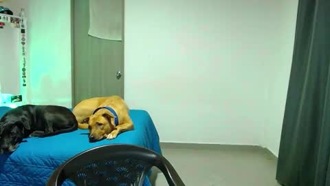 Snapshot of mary_jane1_ chatting on October 2025 02:12:01 AM mary online show from October 2025 02:12:01 AM