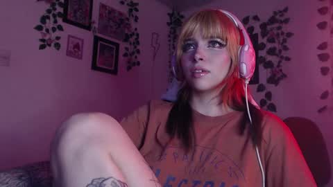                      100   online show from December 2024 09:07:02 AM