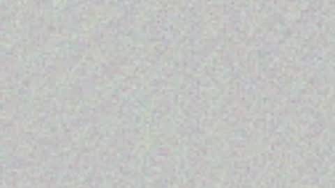   online show from June 2026 11:44:01 AM