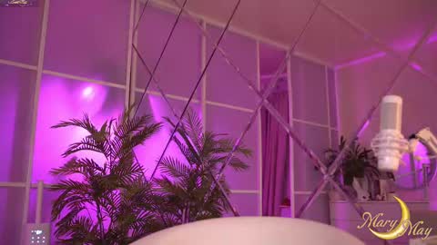 Snapshot of marylunamay chatting on February 2025 09:39:01 PM Mary online show from February 2025 09:39:01 PM