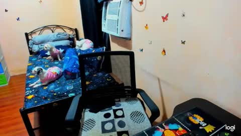 kimmy online show from March 2025 03:33:01 AM