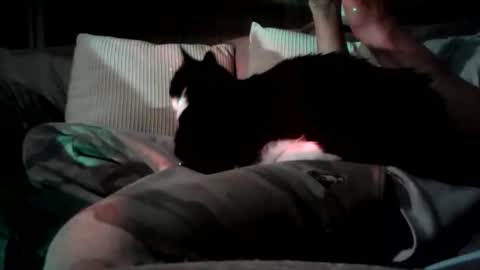 mastrdebator online show from November 2025 09:59:01 PM