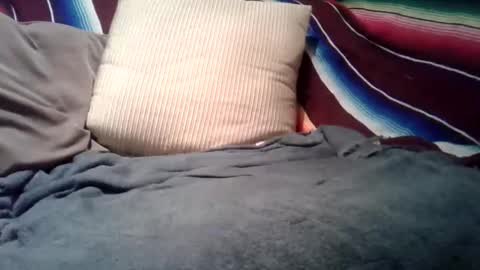 mastrdebator online show from February 2026 11:17:01 PM