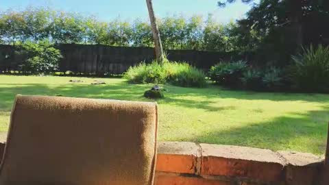 Matt Sweet online show from January 2026 02:23:01 PM