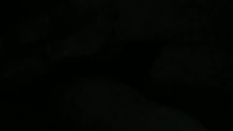 Lira online show from February 2026 12:09:02 PM