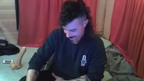 PirataDter online show from December 2024 07:10:01 PM