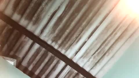 Snapshot of maximo_vega_new chatting on January 2025 04:02:01 AM Maximo Aron Vega online show from January 2025 04:02:01 AM