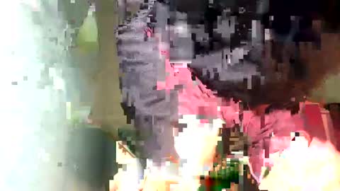 Snapshot of maximo_vega_new chatting on February 2025 11:44:02 AM Maximo Aron Vega online show from February 2025 11:44:02 AM