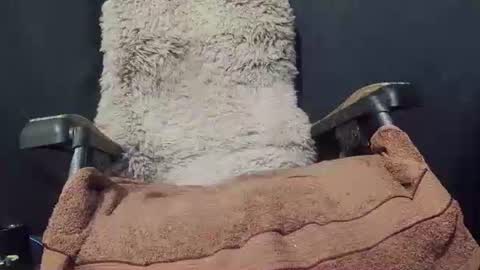 Max online show from January 2025 09:34:01 PM