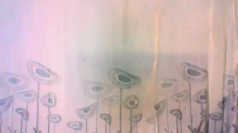 mayrah online show from February 2025 08:11:01 AM