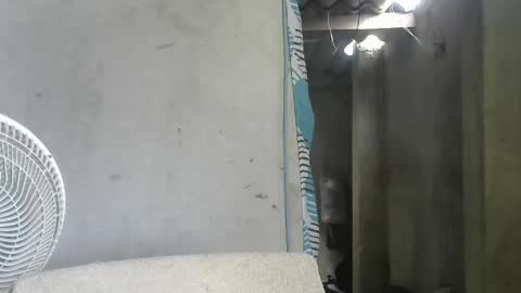 Mcgregor online show from April 2026 08:42:02 PM