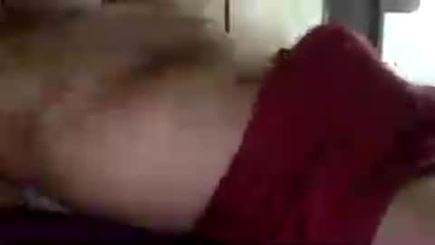 Snapshot of mecalientasmucho chatting on July 2026 02:03:02 PM mecalientasmucho online show from July 2026 02:03:02 PM