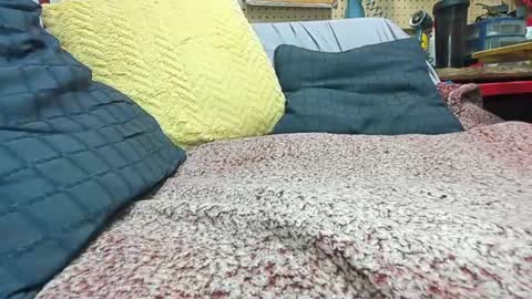 Verbal Daddy online show from September 2025 04:37:02 AM