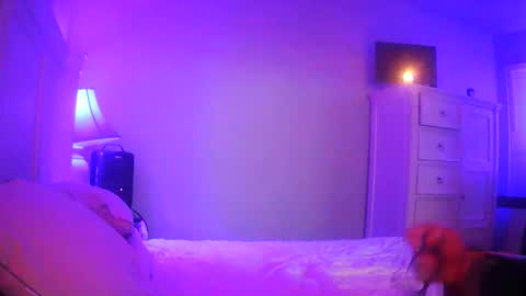 mecrago online show from January 2026 08:09:02 AM