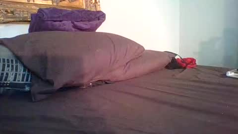 Rockloud online show from November 2025 06:42:02 PM