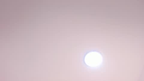 Carolina Paez online show from December 2024 10:58:01 PM