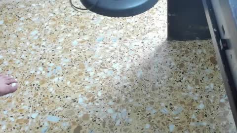 Megan online show from February 2025 06:00:01 AM