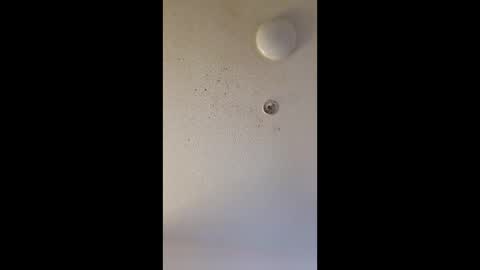 mel_hart_jr online show from March 2026 07:47:02 AM