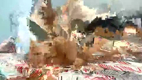 melahnie051002 online show from December 2025 01:35:02 AM