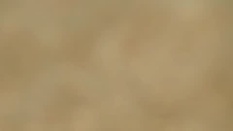 Snapshot of melania_browis chatting on January 2025 02:46:01 PM Melania online show from January 2025 02:46:01 PM