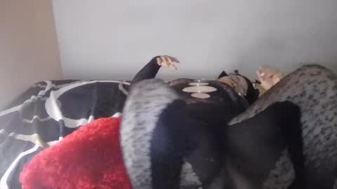 melany_suarez2026 online show from June 2026 06:08:01 AM
