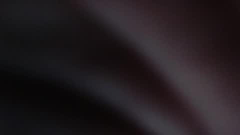 Erica online show from January 2025 08:32:02 AM