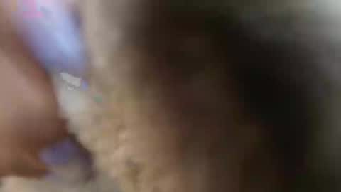 Melissa online show from September 2025 11:37:02 AM