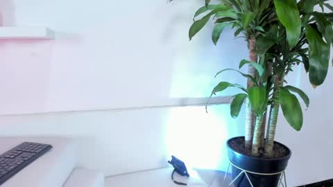 Melissa online show from December 2024 12:04:01 AM