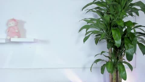 Melissa online show from January 2025 11:39:02 PM