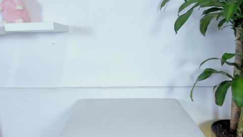 Melissa online show from January 2025 12:07:01 AM