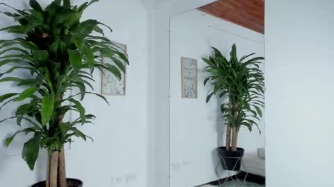 Melissa online show from February 2025 05:47:02 AM