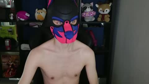 MellPUP online show from April 2026 12:06:01 AM