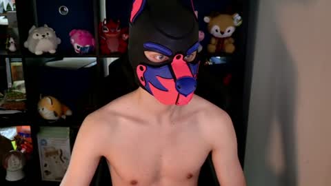 Snapshot of mellpup chatting on June 2026 08:42:02 PM MellPUP online show from June 2026 08:42:02 PM