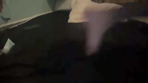 Snapshot of melt13 chatting on October 2025 12:05:01 PM melt13 online show from October 2025 12:05:01 PM