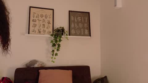  Memphis Williams  online show from February 2026 02:40:02 AM