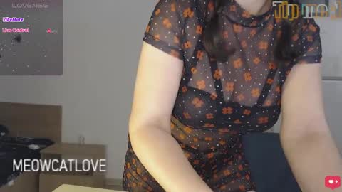 Snapshot of meowcatlove chatting on December 2024 10:08:02 PM meowcatlove online show from December 2024 10:08:02 PM